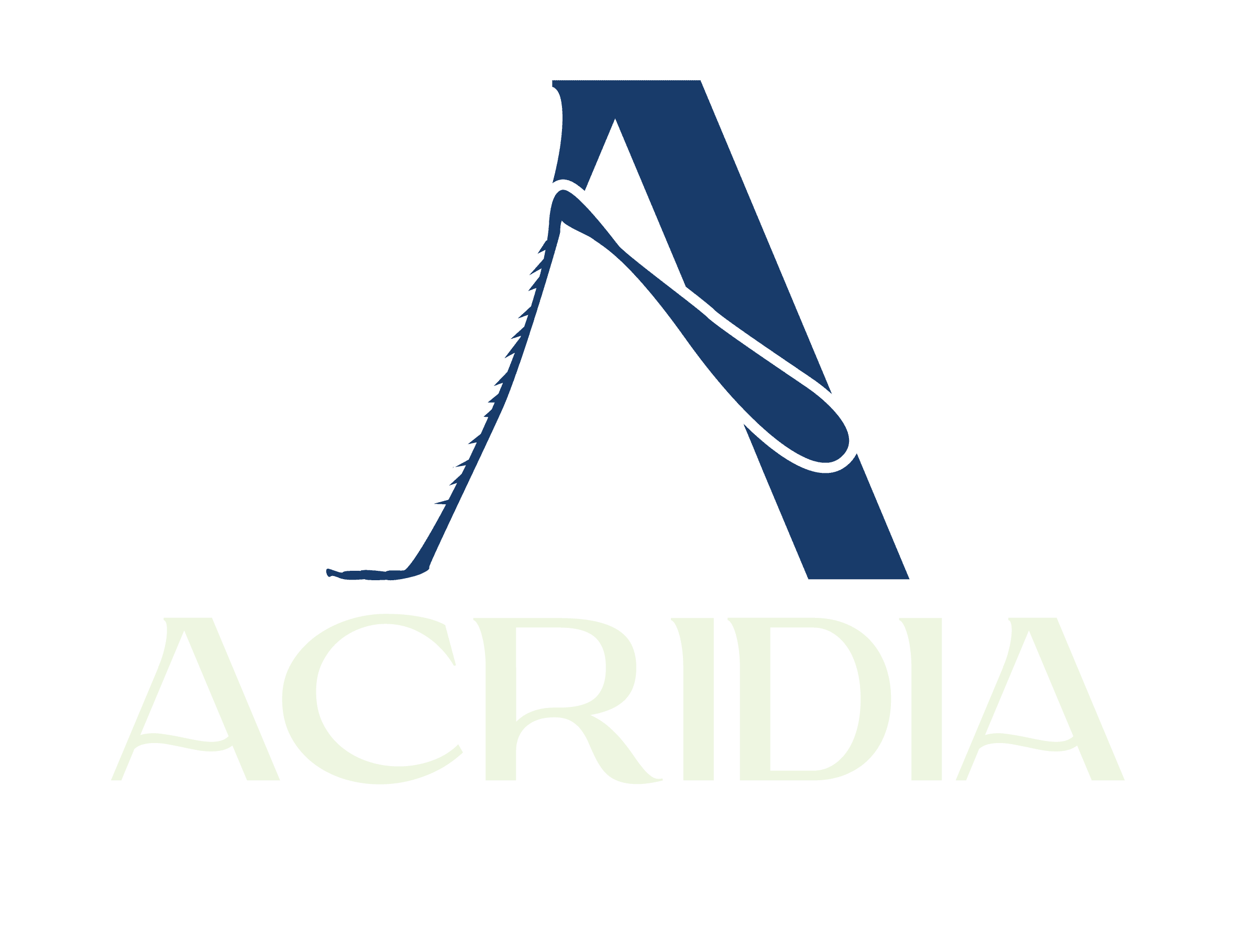 Acridia