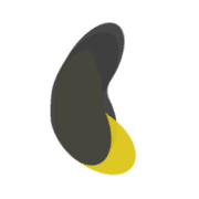 Birou logo