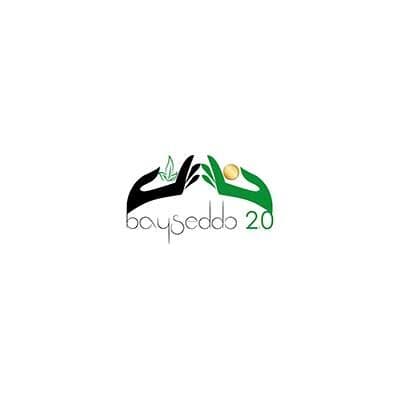 BAYSEDDO logo