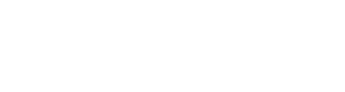 PEOPLE INPUT logo