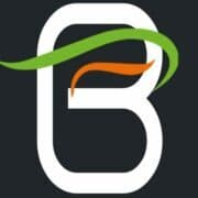 ETNAFES logo