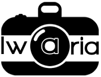 Iwaria logo