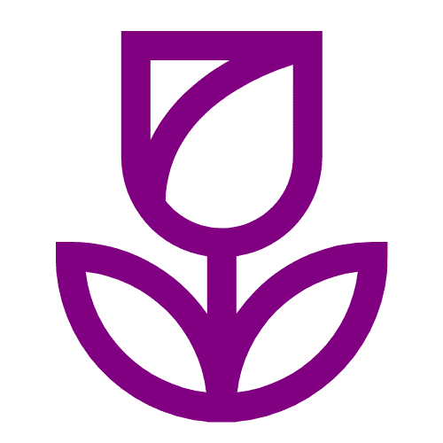 Catin Systems logo