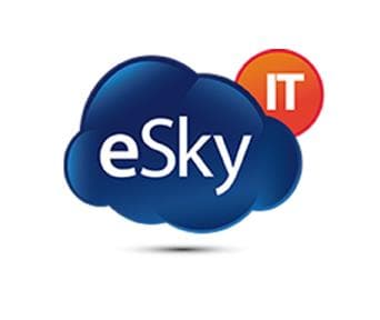 ESKY PROFESSIONAL SERVICES logo