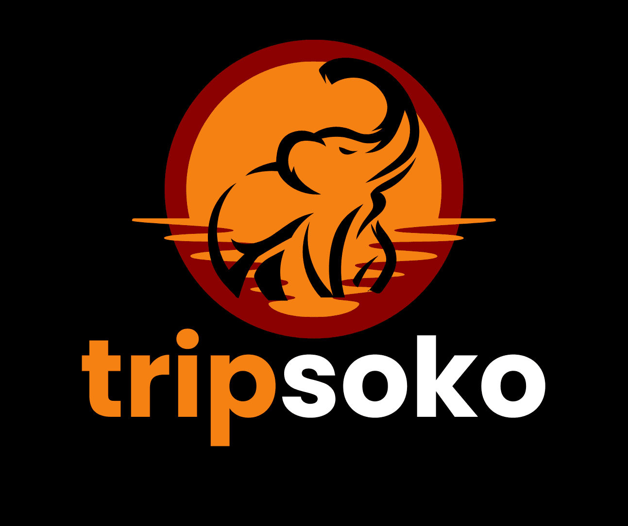 Tripsoko logo