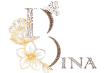 Bina Products logo