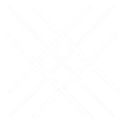 Société NSIJA logo